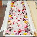 이화상조 이미지