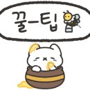 펫프닝 타운 이미지