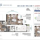 압구정-216 티스토리
