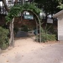 강남-163 이미지