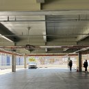 모전로 | [정관 아쿠아드림파크] 주말 자유수영 후기(+50m레인)