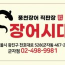 장어시대 이미지