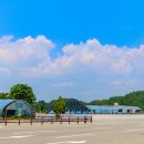 고랑 Daum카페