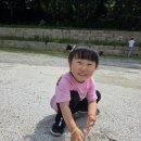 🌿 도갑사 숲걸음 다녀왔어요! 🌿 이미지