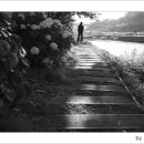 광도면사무소 이미지