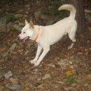 태영카센타 이미지