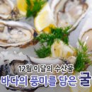 이달의바다