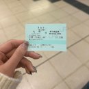 맵go마싯go | 겨울 삿포로 4박 5일 자유여행 총정리(여행준비, 연말 연초 일정,경비)