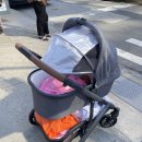 뉴욕 엄마들이 어파베이비 비스타를 쓰는 이유 | 26개월 내돈내산 실사용 후기