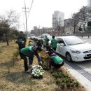 온양4동 온천대로 이미지