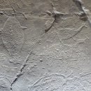 울산암각화박물관 이미지