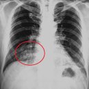 가남의원 이미지