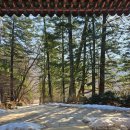 오대산 힐링타운 달빛동 | [강원도/진부]오대산 선재길 절망편_월정사/상원사_현실후기