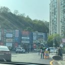 군포철쭉축제 다녀온 후기 / 주차팁