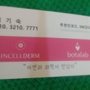 인셀덤신