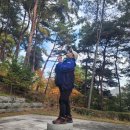 청남대. 구리봉 (산행) 이미지