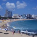 해운대해수욕장 2호 이미지