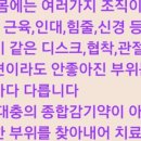 네거리의순이 이미지