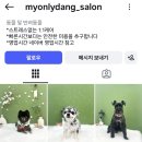 마이온리댕댕