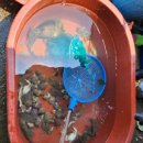 입파민박 이미지