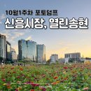 송현카센타(송현카인테리어) | 10월포토덤프 흑백요리사 해방촌신흥시장 팟카파우 / 안국역 열린송현
