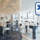 블루비타 이미지