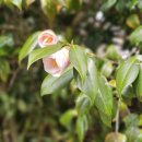 산들길 3구간 쉼터 이미지