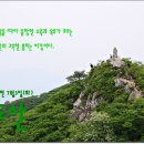 제358차 7월 3일 경북 김천 수도산(1,317M) 정기산행 이미지