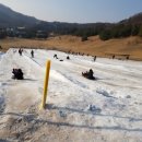 오크밸리눈썰매장 네이버블로그