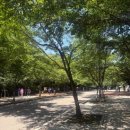 애견운동공원(11~2월) | 인천 애견동반 가볼만한곳 | 인천대공원 강아지와 함께 산책하기 좋은 곳 추천 (인천 무료 반려견...