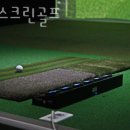 청룡스크린골프 이미지