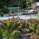 용추계곡펜션 이미지