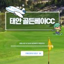 골든베이 | 충청도 태안 2인 골프장 골든베이CC 라운딩 후기