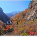 강천산군립공원 이미지