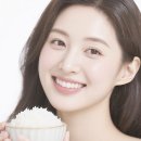 서울프로치과의원 네이버블로그