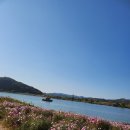 코스모스미용실 이미지