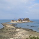 파란여행사주