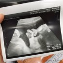 알뜰종합백화점 이미지