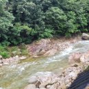 도마치 캠핑장 이미지