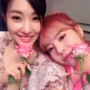 써니풀