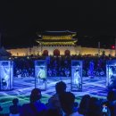 코끼리들이 웃는다 이미지