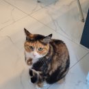 스마트해법수학남원주점 학원 이미지