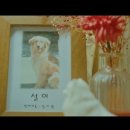 펫사랑일산점 이미지