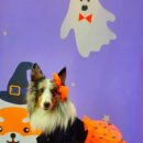 위드어스 와이너리 이미지