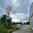 황무로 3 이미지