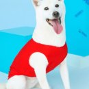 런닝펫