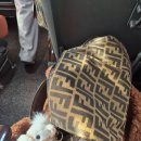 상주종합버스터미널2 | [번역가 서울여행 1일 차] 안녕, 부산(버스터미널/성수/여자혼자 서울여행)