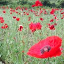 두원마을 이미지