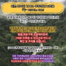 착한가격)몸에 참좋은 생로얄제리+천연벌꿀 세트 특판가로드립니다(각 5세트 선착순) 이미지