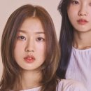 쉽게 따라하는 헤어 스타일링 이미지